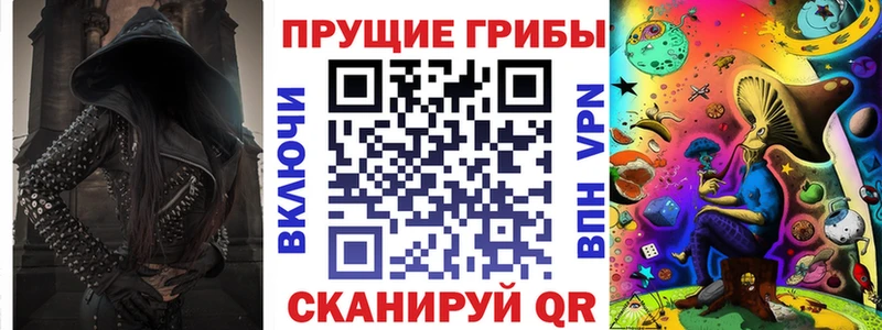 блэк спрут ТОР Чусовой Галлюциногенные грибы Cubensis