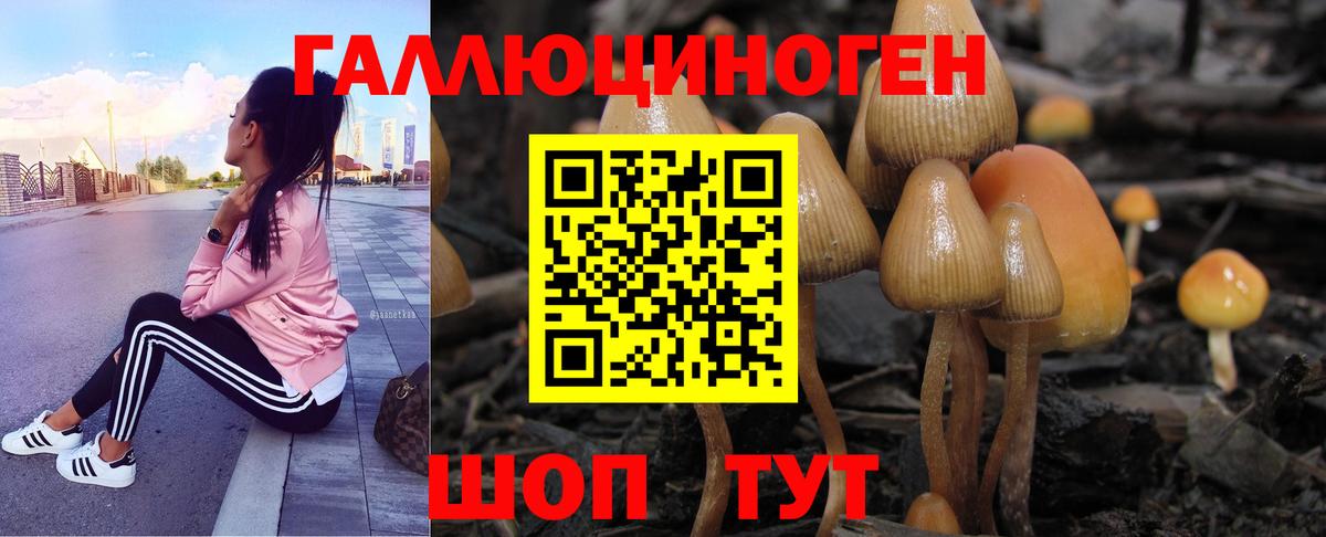 Чусовой  Галлюциногенные грибы Psilocybe  Вход с VPN 