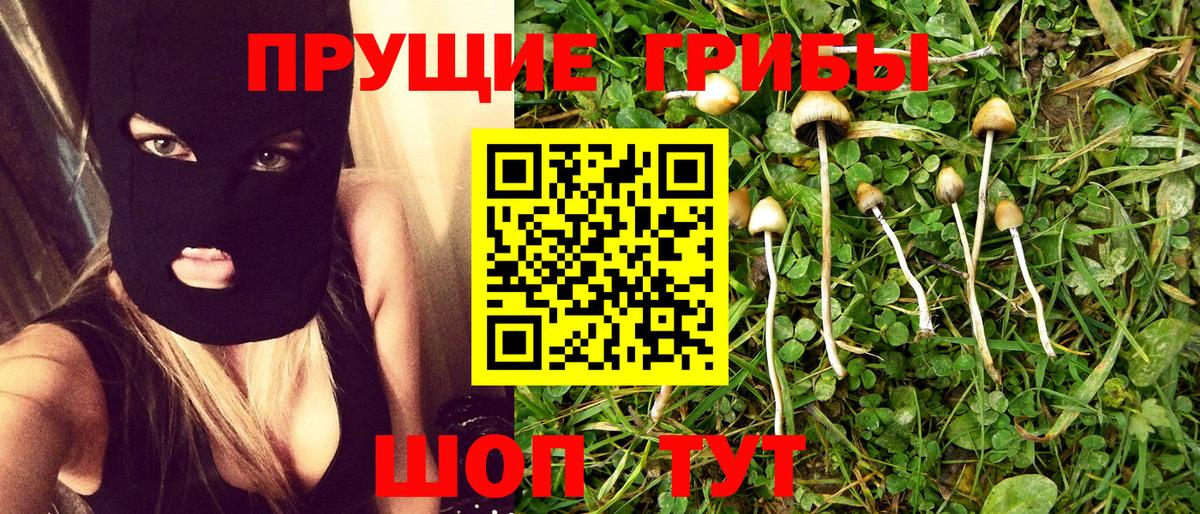 Псилоцибиновые грибы прущие грибы Чусовой